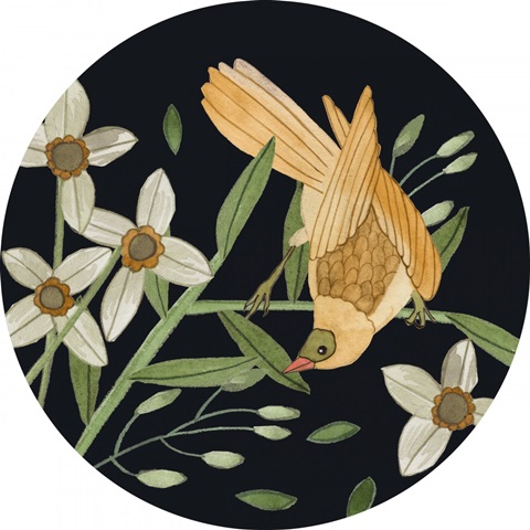 Singing Birds Collection C