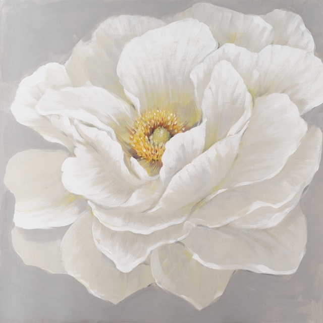 White Peony I