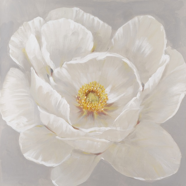 White Peony II