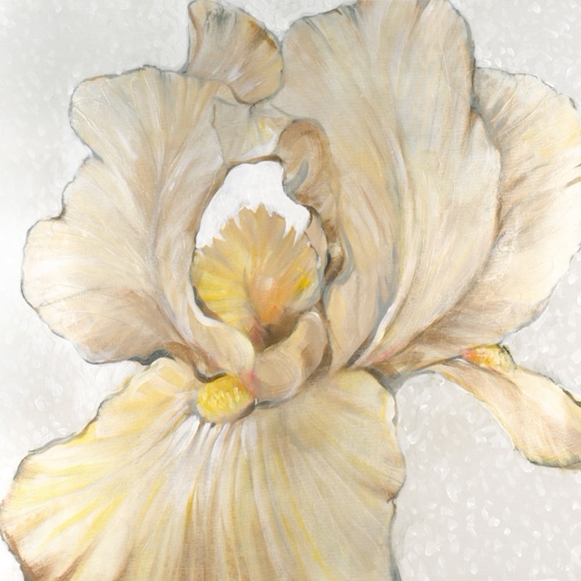 Iris Cream I