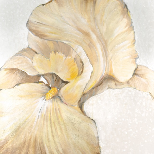 Iris Cream II