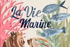 Pastel Mer Collection A