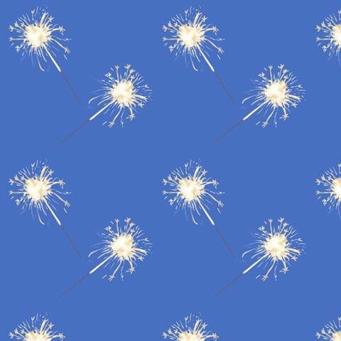 Sizzlin' Fourth of July Collection F