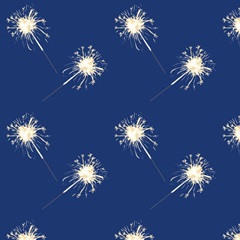 Sizzlin' Fourth of July Collection G