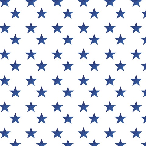 Sizzlin' Fourth of July Collection H