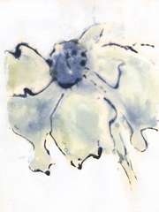 Blooms Taking Flight II