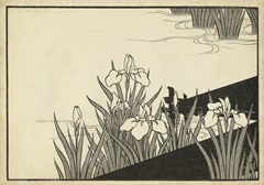 Japanese Irises A