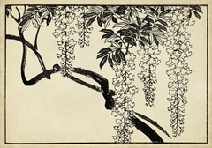 Japanese Wisteria I B