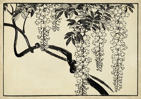 Japanese Wisteria I B