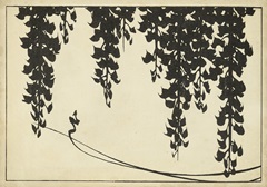 Japanese Wisteria II A
