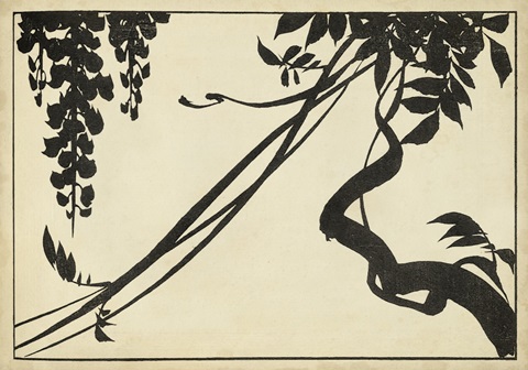 Japanese Wisteria II B