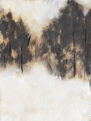 Winter Woods View II