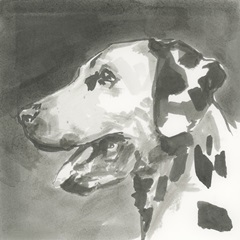 A Very Neutral Modern Dog V