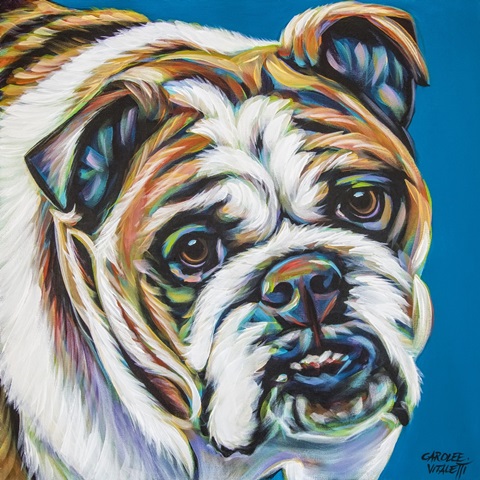 Colorful Bulldog