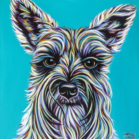 Colorful Schnauzer
