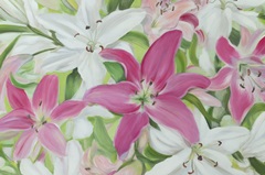 Pink and White Lilies III