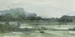 Marshy Landscape I