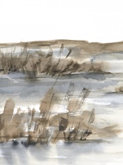 Blue-Grey Marsh IV