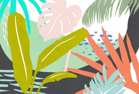 Jazzy Jungle Collection A