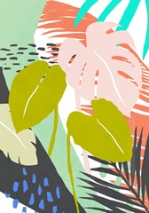 Jazzy Jungle Collection B