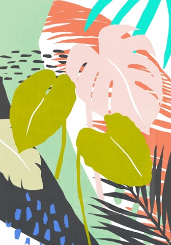 Jazzy Jungle Collection B