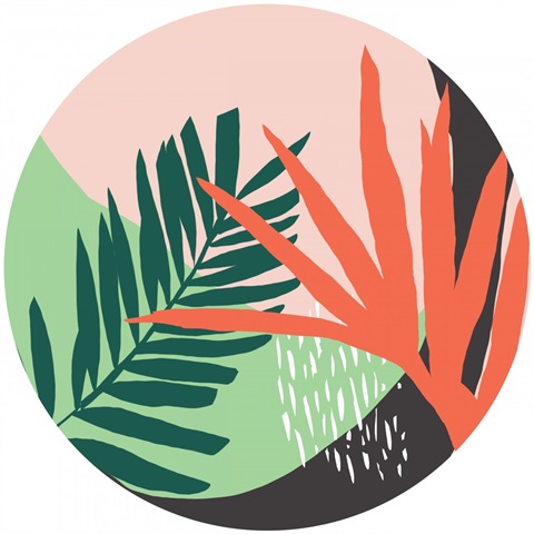 Jazzy Jungle Collection C