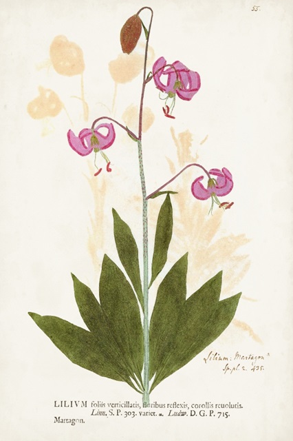 Nature Printed Botanicals V