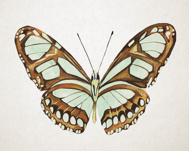 Mint Butterfly I