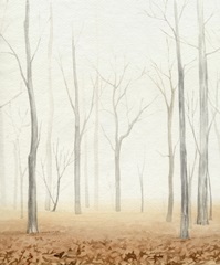 Fall in the Forest II