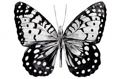 Monochrome Wings Whole I