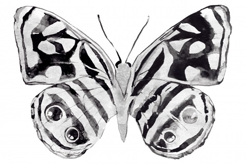 Monochrome Wings Whole II