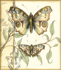 Small Tandem Butterflies I (P)