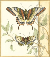 Small Tandem Butterflies II (P)