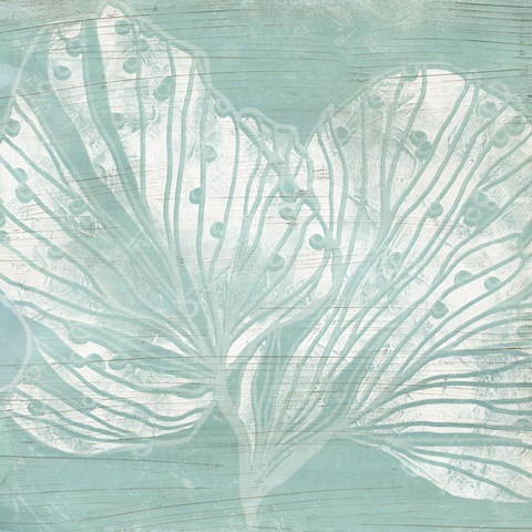 Cerulean Sea Coral II