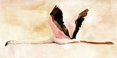 Touching Down I