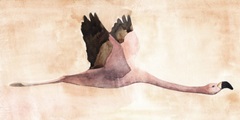 Touching Down II