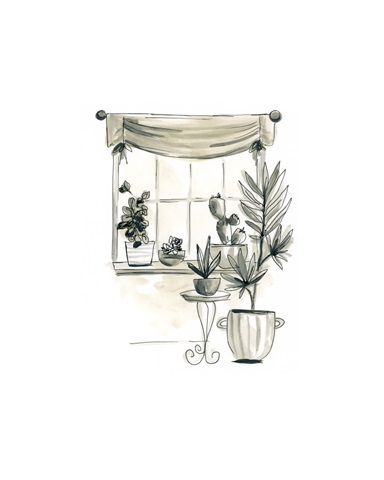The Plant Lady's Window II