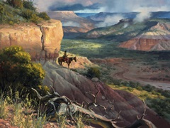 Camp Along the Timbercreek