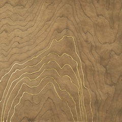 Golden Veneer II