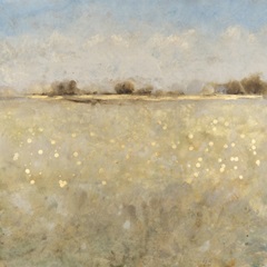 Meadow Plane I