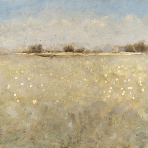 Meadow Plane I