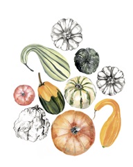 Watercolor Pumpkins I