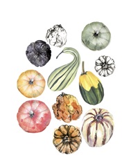 Watercolor Pumpkins II