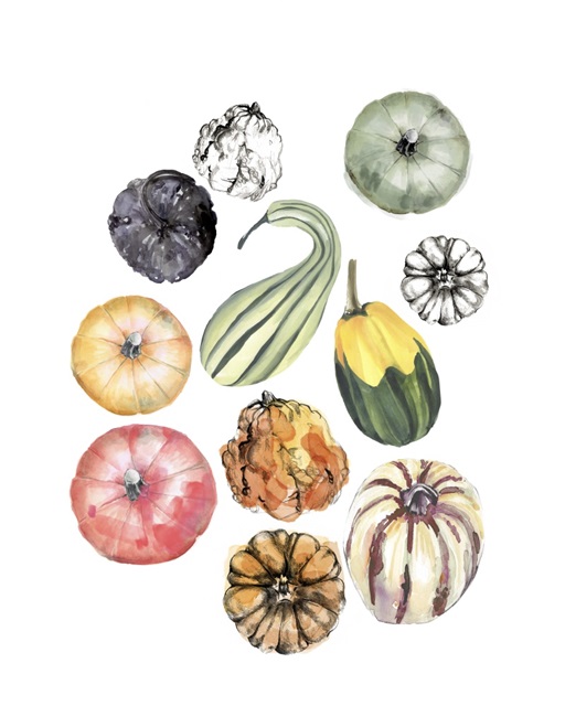 Watercolor Pumpkins II