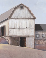 Barn Textures I