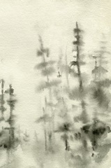 Foggy Pine Forest I
