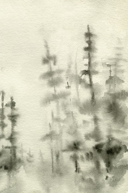 Foggy Pine Forest I
