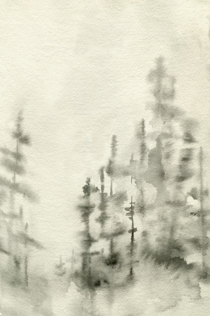 Foggy Pine Forest II