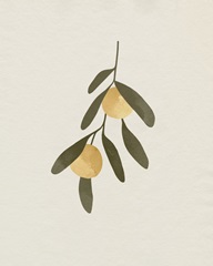 Sweet Clementines II