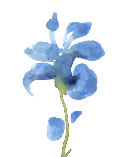 Striking Blue Iris III